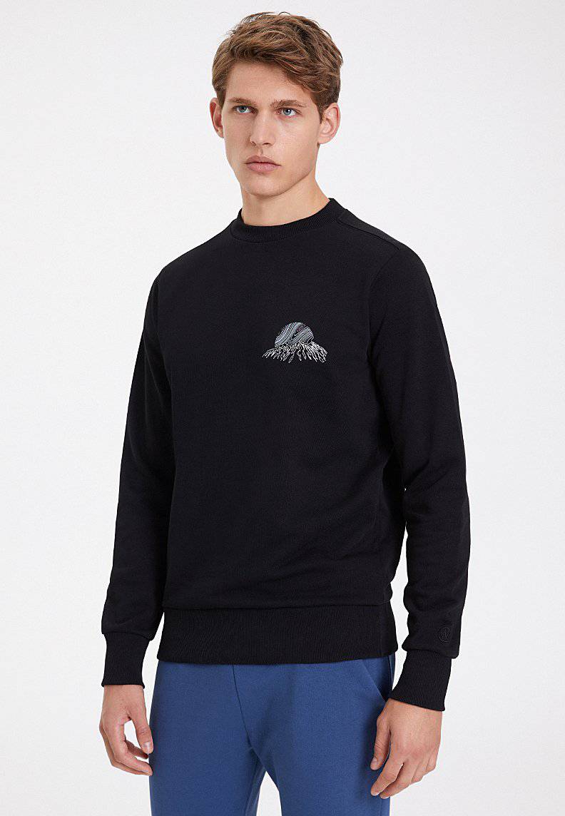 Northern sale lights sweatshirt